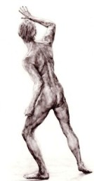 Drawing, Neil Harvey, male nude backview Drawing, Neil Harvey, male nude backview