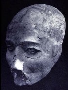 Clay covered skull from ancient excavation Clay covered skull from ancient excavation