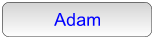 adam_btn
