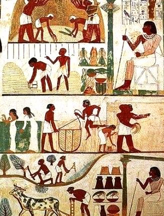 Image result for sowing in ancient times