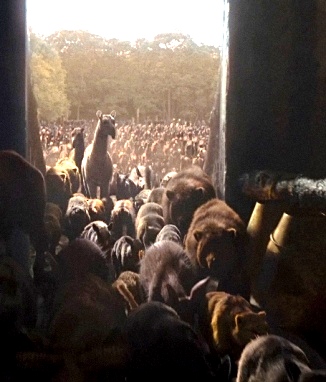 Animals enter the Ark two by two, a scene from the movie 'Noah' 