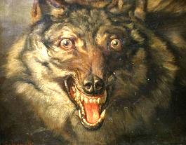 Ravenous wolf