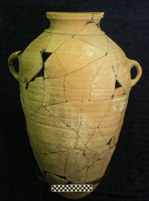 A collared-rim jar