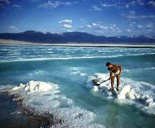 Harvesting salt from the Dead Sea