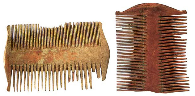 WOMEN IN THE BIBLE: WOODEN COMBS